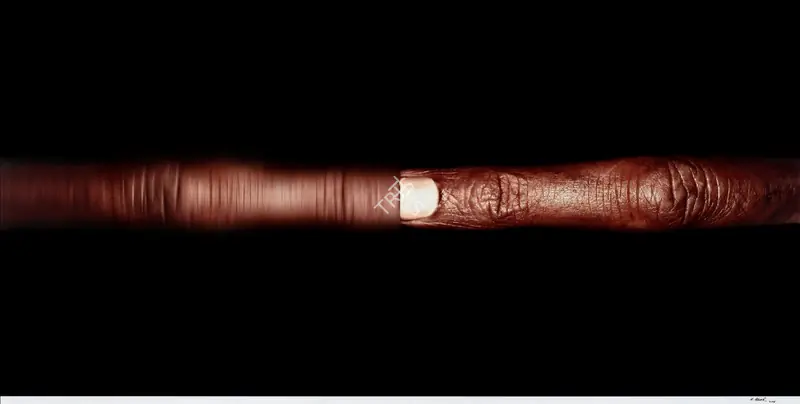 Broota, Rameshwar (Artist). Untitled. Digital print on paper; Edition From a limited edition of twenty, 2006 | Print | FineArts | 00357658