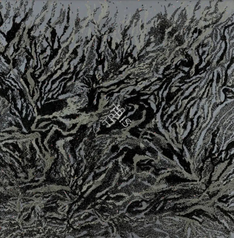 Kher, Bharti (Artist). Rugged Terrain, 2007 | Collage