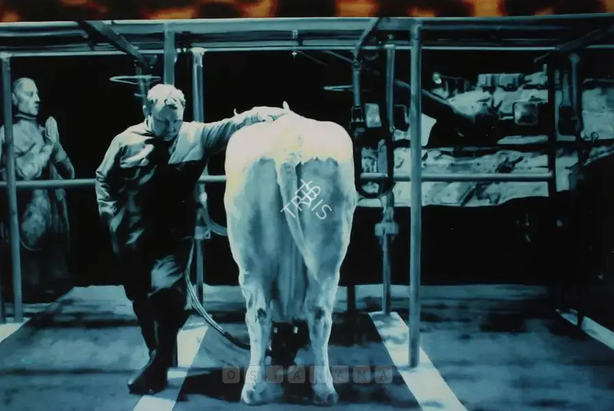 Santhosh, T.V. (Artist). The Milking Machine. Oil on canvas, n.d. | Painting  | 00881059