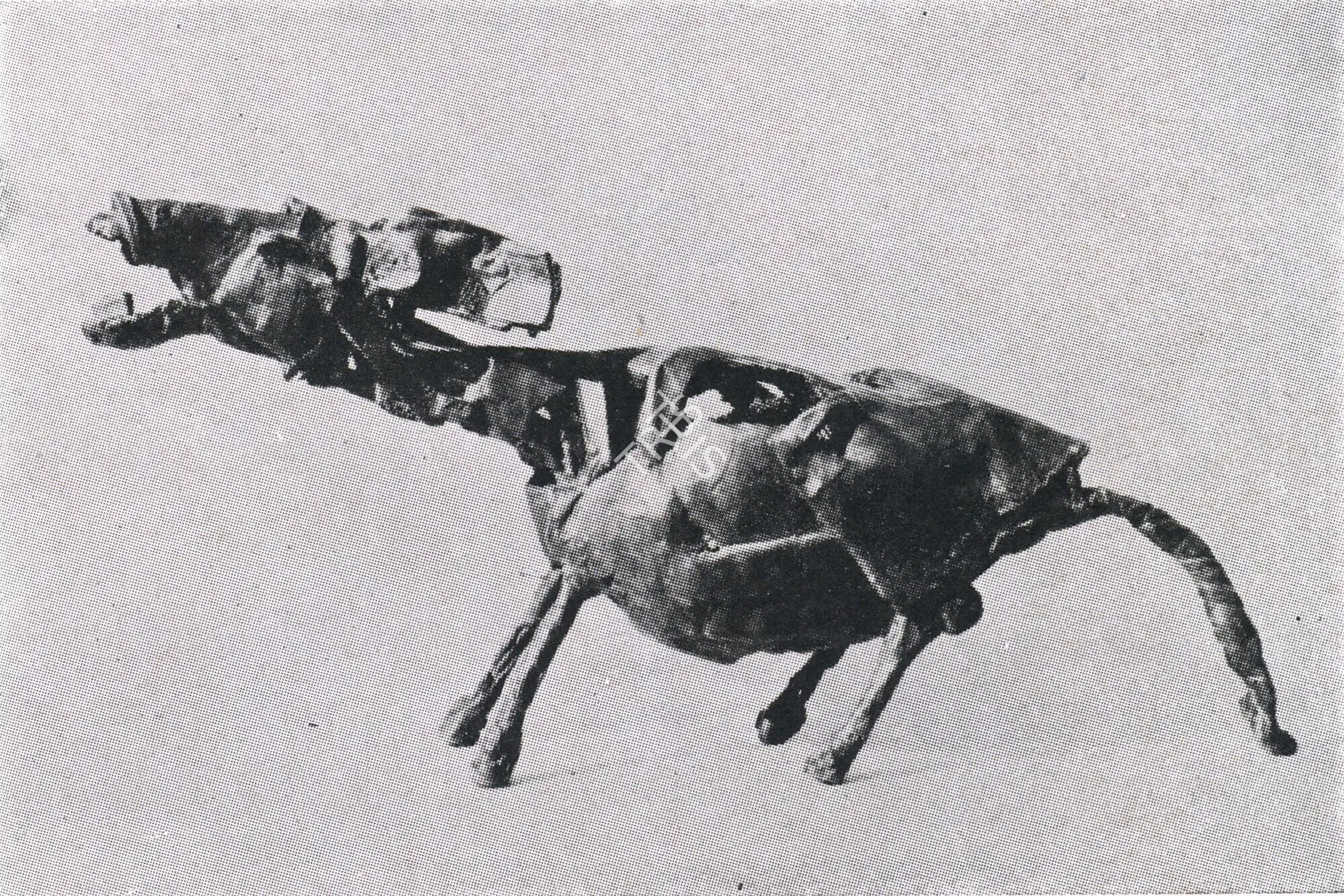 Somnath Hore, 1980
