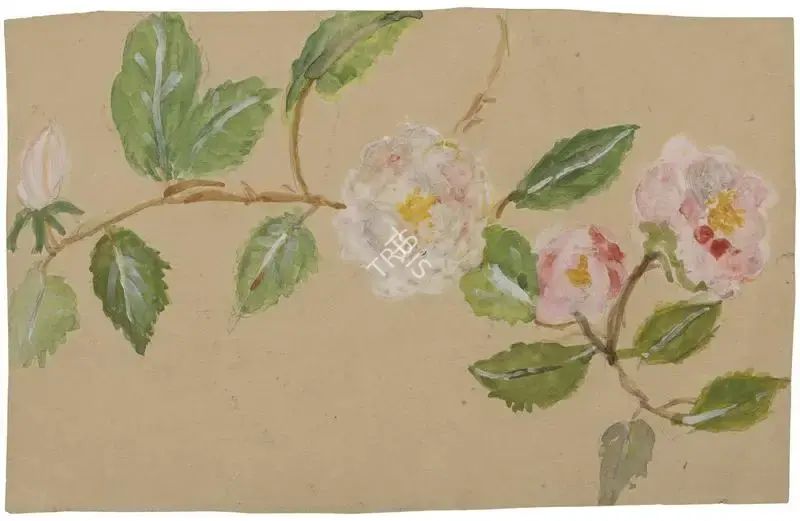 Sher-Gil, Amrita (Artist). Untitled, n.d. | Painting