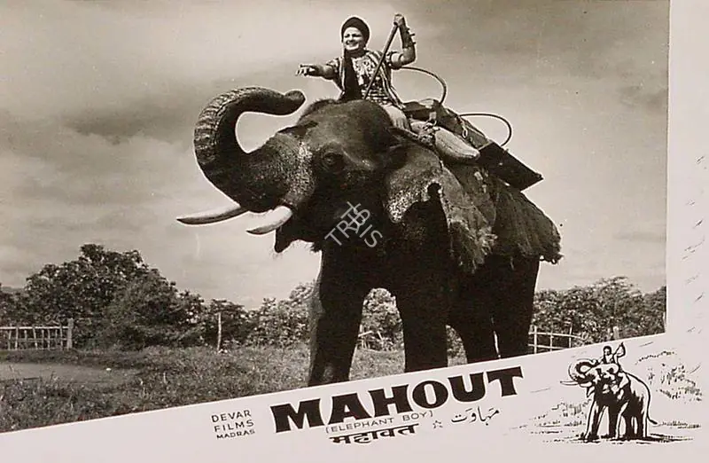 Thirumugam, M.A. (Director), Mahout, 1961 | Lobby Card | CinemaEducation | 00819782