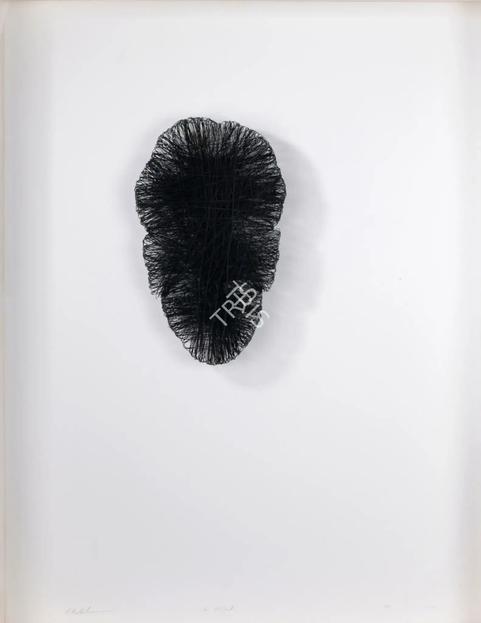Balasubramaniam, A. (Artist). In But Out. Wire on board, 2004 | Sculpture | FineArts | 00900370