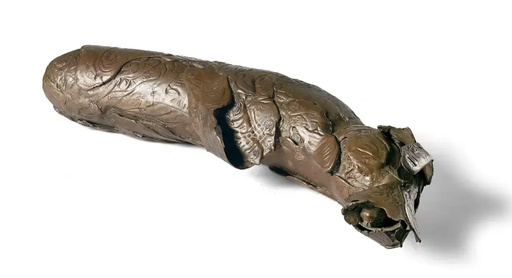Mukherjee, Mrinalini (Artist). Natural History, n.d. | Sculpture