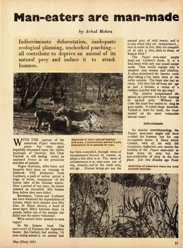 Mehra, Achal (Essayist). Man-Eaters are Man-Made. In Caravan - Fortnightly of National Resurgence.(647), pp. 55-56. New Delhi: Vishwa Nath, 1 May 1979 | Essay | Continuum | 00798690