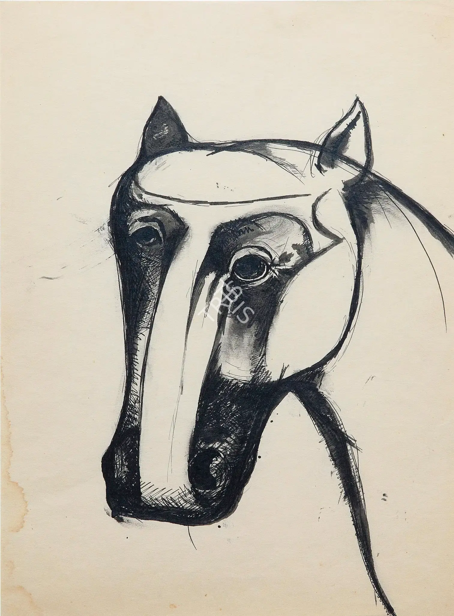 Mehta, Tyeb (Artist). Head Of A Horse, n.d. | Drawing