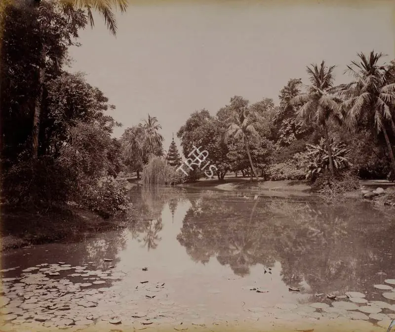 Bourne, Samuel (Photographer). View in Eden Gardens. Calcutta - From the album 'India Ceylon and Egypt 1901-1902'. Albumen Print pasted on mount, c.1865-1866 | Antiquarian Photograph | Photography | 00115503