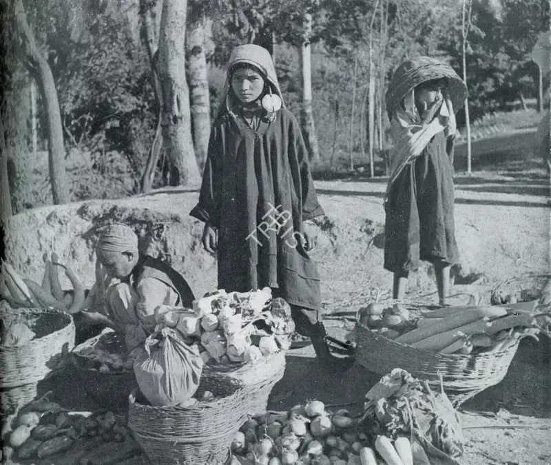 Bharadwaj, R.R. (Photographer). The Vegetables for the Market. n.d. | Contemporary Photograph, Marg, March 1955 | Photography | 00512986