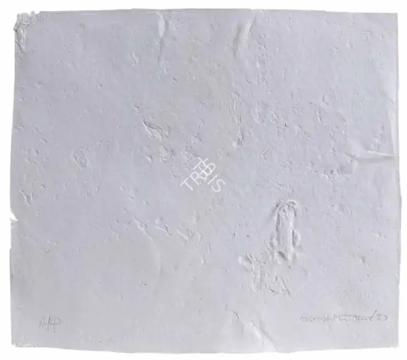 Hore, Somnath (Artist). Untitled (Wound Series). Paper pulp print on paper, 1983 | Graphic Art | FineArts | 00417579