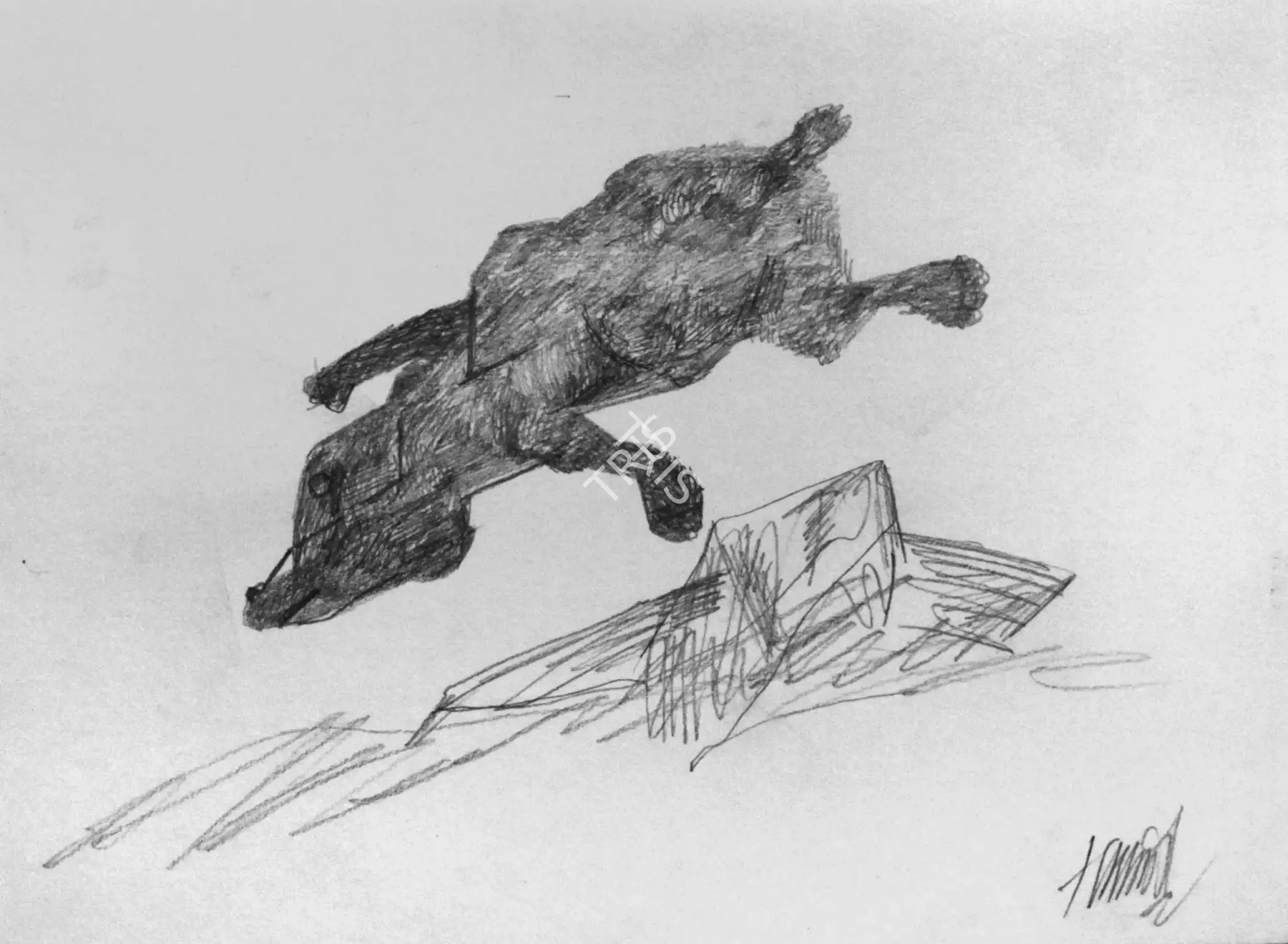 Shah, Himmat (Artist). Untitled. Pencil on paper, n.d. | Drawing | FineArts | 00899826