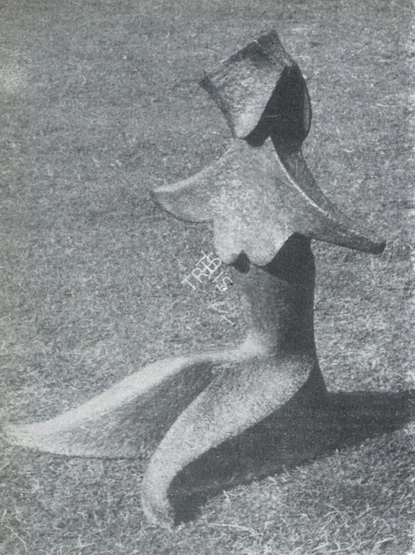 Sehgal, Amar (Artist). Toilet. Bronze, 1959 | Marg, December 1962 | Sculpture | FineArts | 00674832