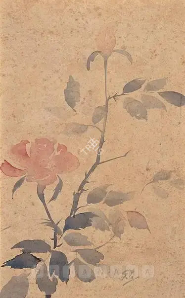 Tagore, Gaganendranath (Artist). Rose, late 1910s | Painting