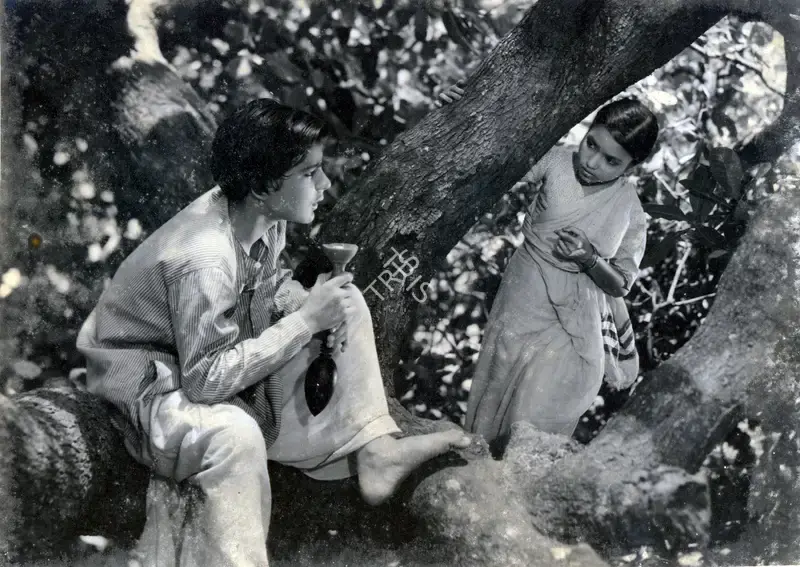 Bose, Kamal (Cinematographer), Devdas, 1955 | Photographic Still | CinemaEducation | 00884892