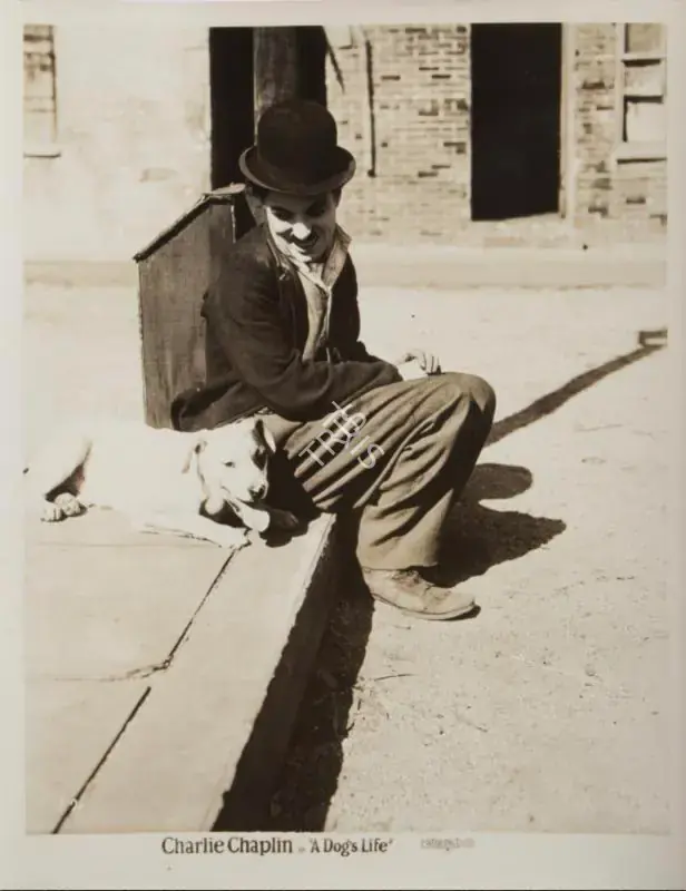 Totheroh, Roland (Cinematographer), A Dog's Life, 1918 | Photographic Still | CinemaEducation | 00795056
