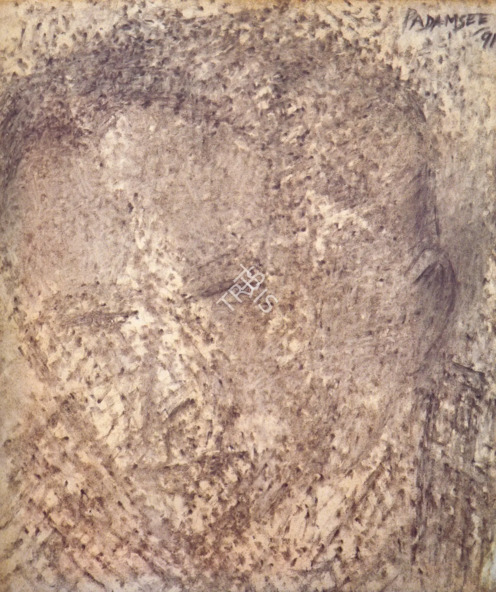 Padamsee, Akbar (Artist). Head, 1991 | Painting