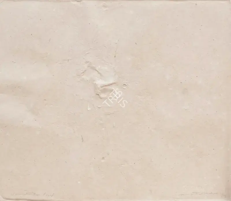 Hore, Somnath (Artist). Wound Series. Paper pulp print, 1983 | Graphic Art | FineArts | 00352255