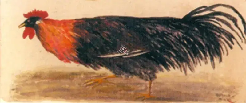 Pyne, Kartick Chandra (Artist). Untitled, c.1990s | Painting