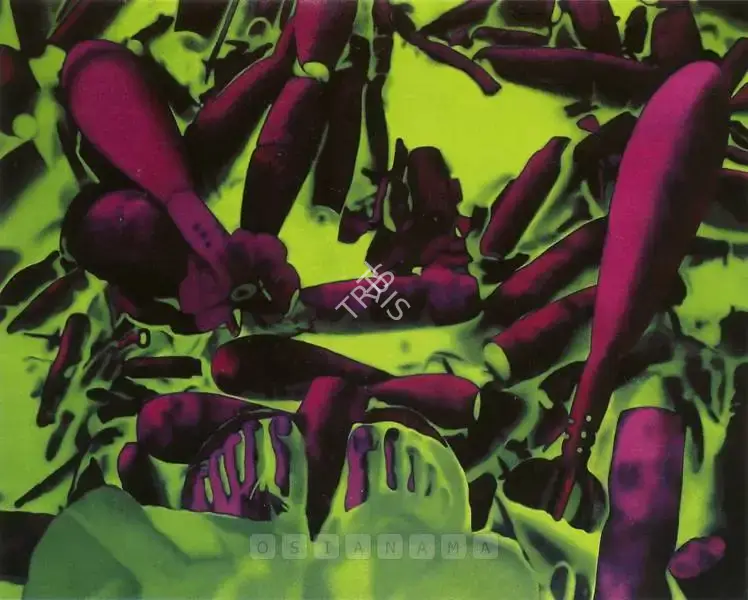 Santhosh, T.V. (Artist). Untitled, 2005 | Painting