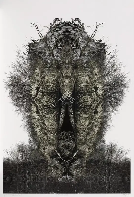 Sopariwala, Ronak (Artist). A Poetic Chaos. Digital print on archival paper pasted on sunboard, 2021 | Print | FineArts | 00417964