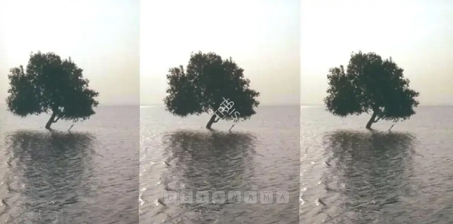 Bhalla, Atul (Artist). Alone And Again. Digital print on archival paper, Edition 1/5, 2007 | Print | FineArts | 00898960