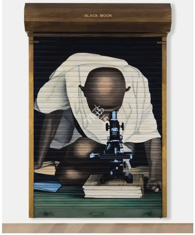 Dodiya, Atul (Artist). Black Moon. Enamel on metal shutter and acrylic and marble dust on canvas, 2002 | Painting | FineArts | 00646392