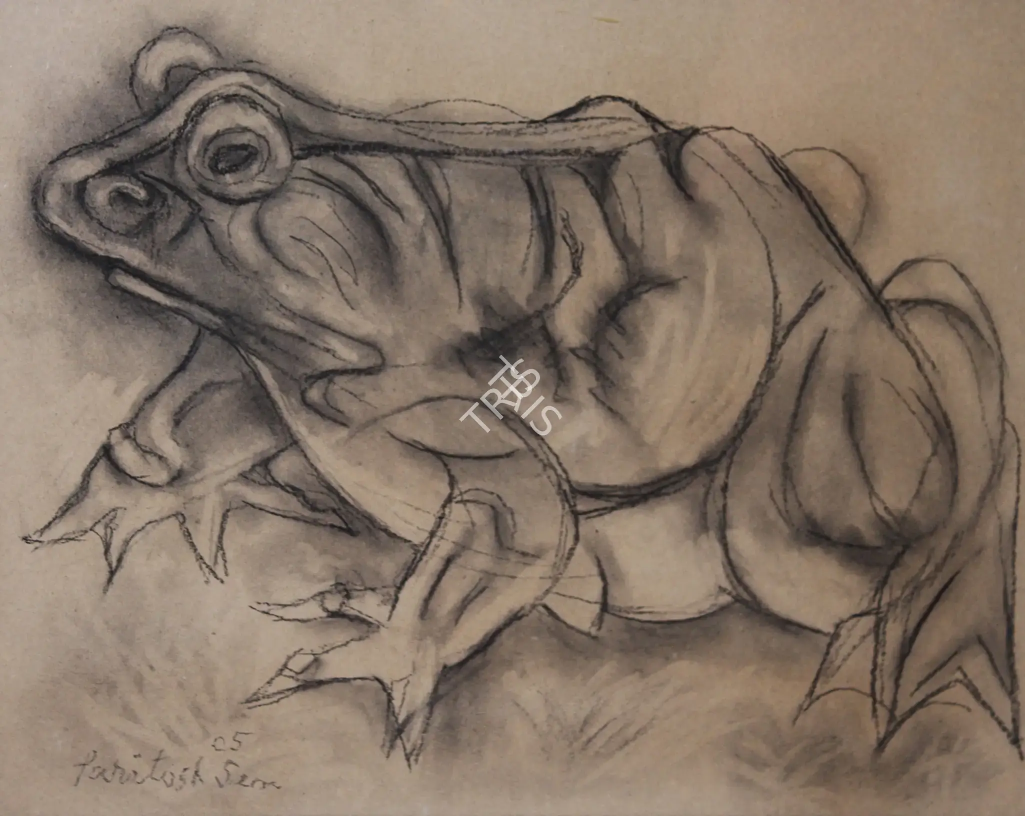 Sen, Paritosh (Artist). Untitled. Acrylic on paper, 2005 | Painting | FineArts | 00901062