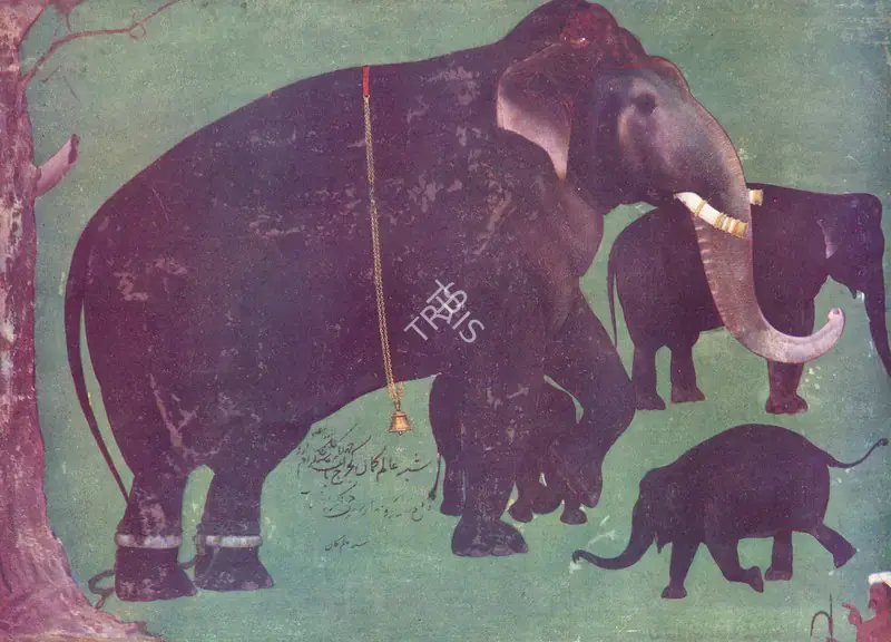 Guman, Alam (Artist). Jehangir's Royal Elephant. 17th Century | Marg, April 1953 | Painting | FineArts | 00673925