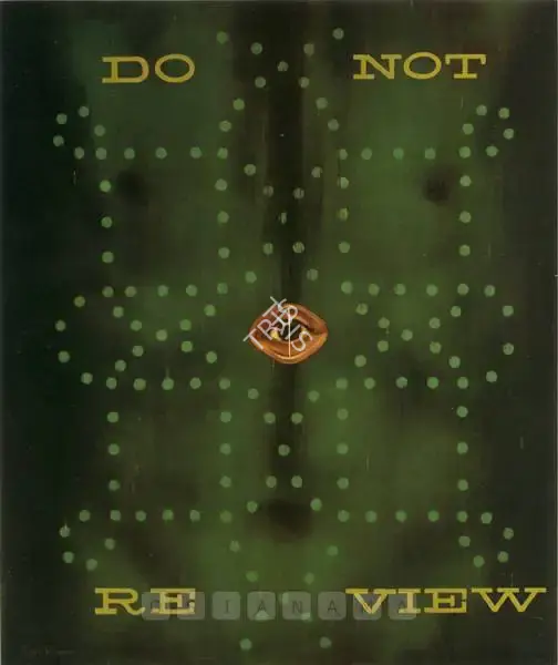 Kumar, Bari (Artist). Do Not Review, 2000 | Painting