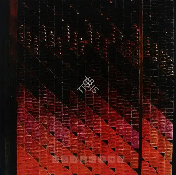 Akhilesh (Artist). Para. Acrylic on canvas, 2004 | Painting  | 00880971