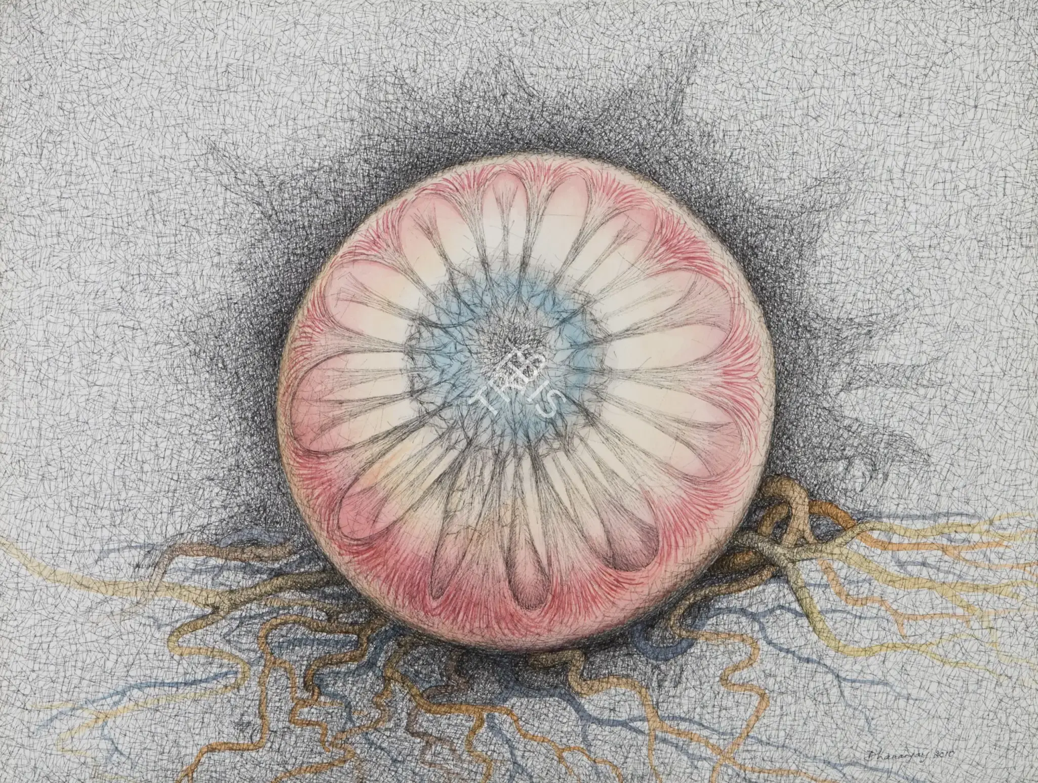 Singh, Dhananjay (Artist). Untitled. Pen and ink on paper, 2010 | Drawing | FineArts | 00901148