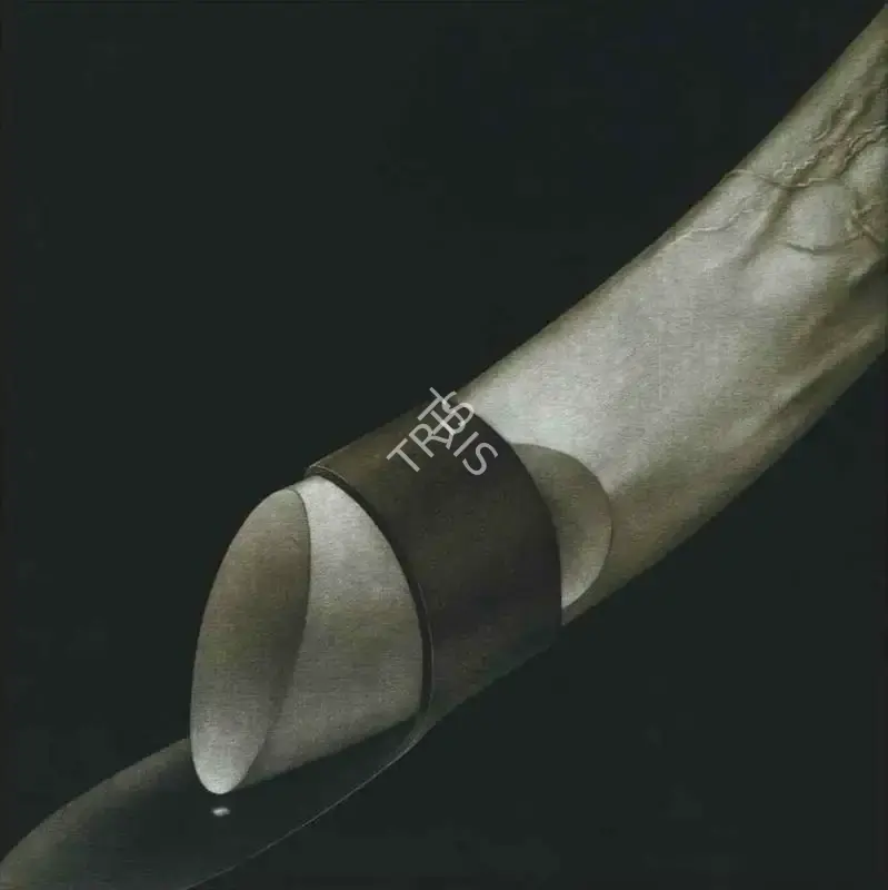 Broota, Rameshwar (Artist). Untitled. Oil on canvas, 2005 | Painting | FineArts | 00595357