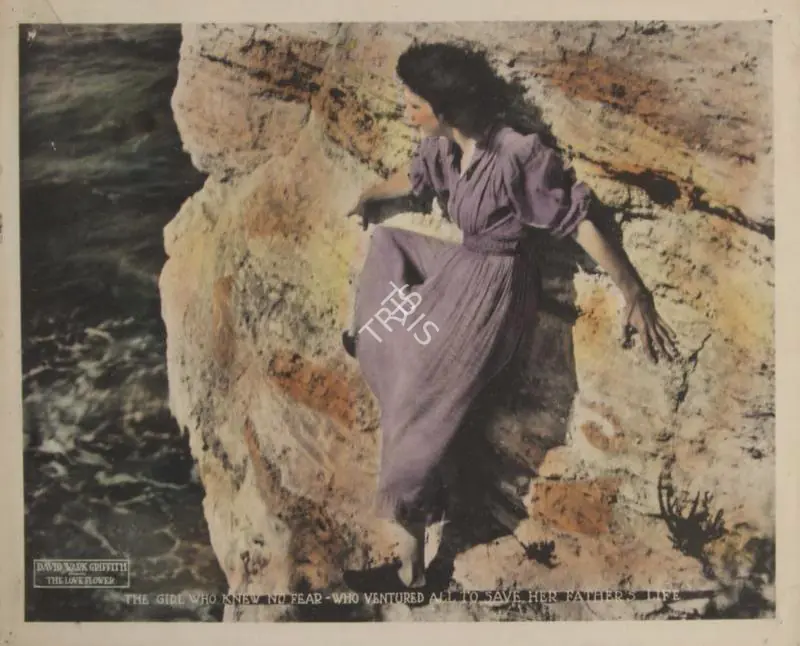 Griffith, D.W. (Director), The Love Flower, 1920 | Lobby card | CinemaEducation | 00789866