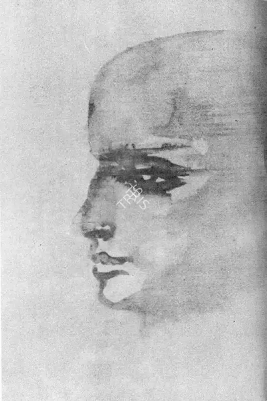 Padamsee, Akbar (Artist). Head. 1980 | Art Heritage 8, 1988-1989 | Drawing | FineArts | 00530260