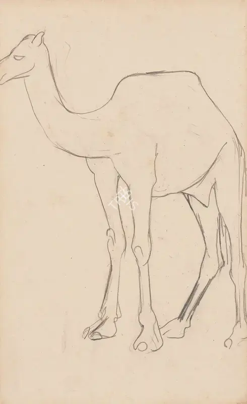 Sher-Gil, Amrita (Artist). Untitled (Sketch of a Camel). Pencil on paper, 1941 | Drawing | FineArts | 00604549