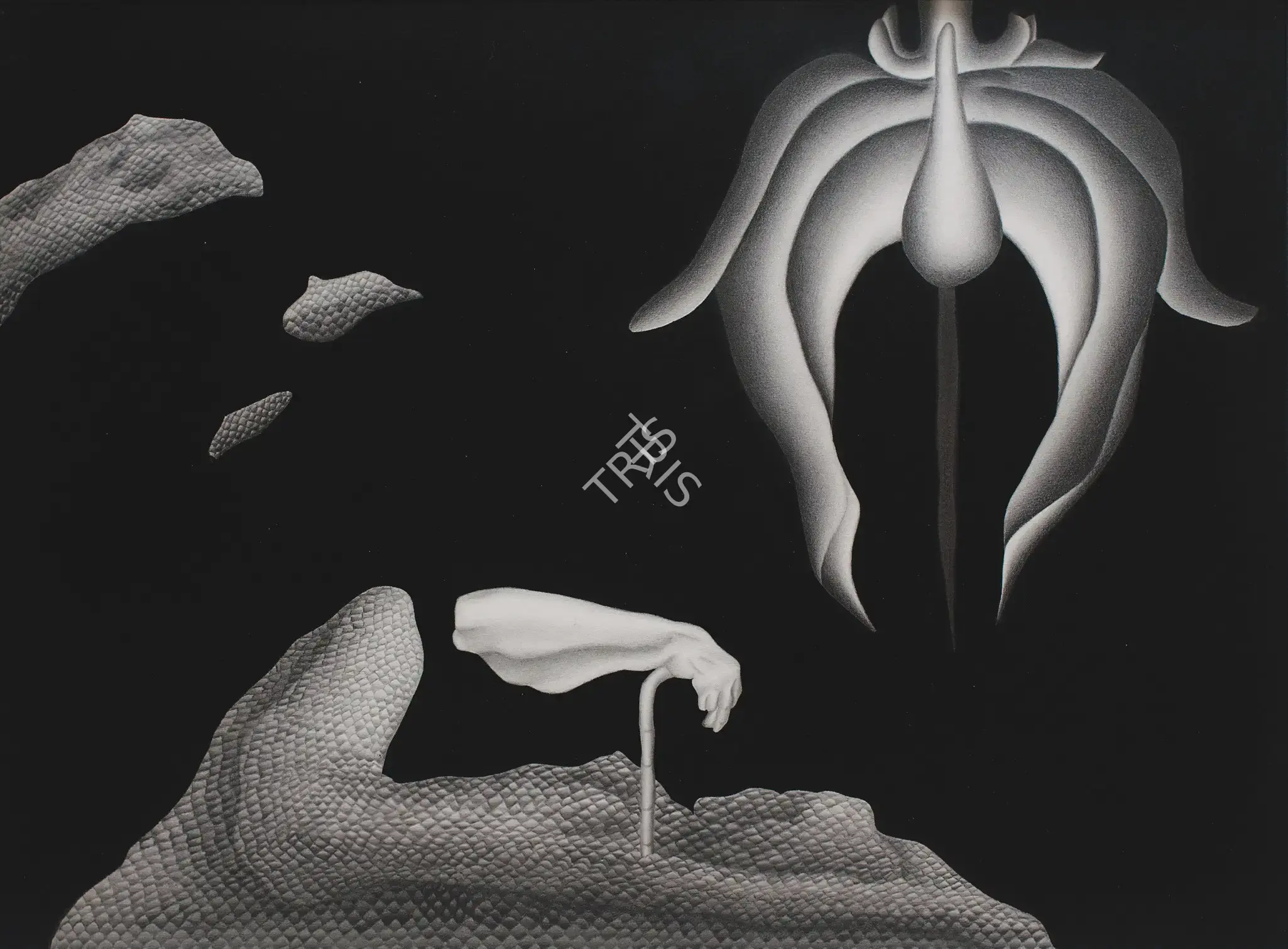 Broota, Vasundhara Tewari (Artist). Dream Reality III, 1984 | Drawing