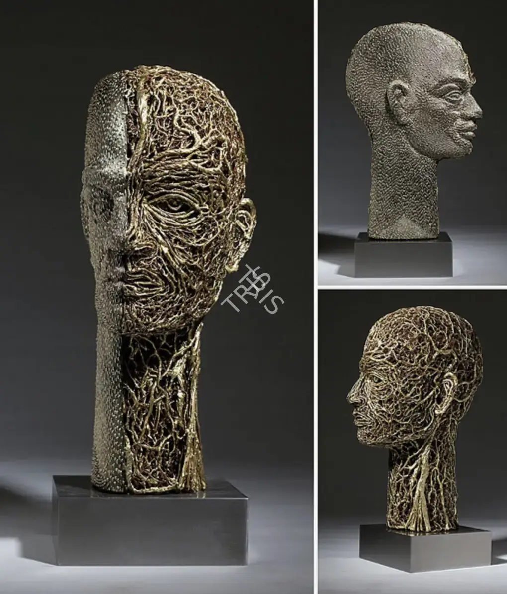 Singh, Dhananjay (Artist). Behind The Layers-2 (Variation 1), 2012 | Sculpture