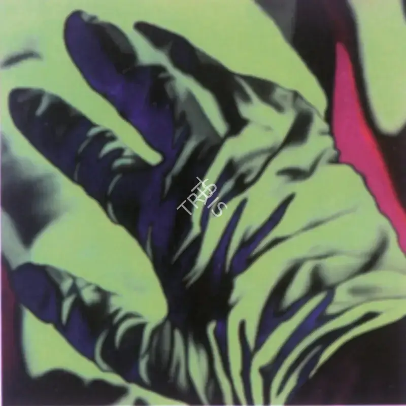Santhosh, T.V. (Artist). Whose War Is It? Iii, 2005 | Painting