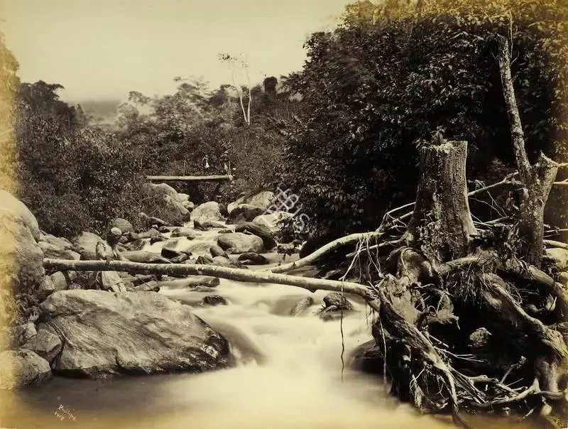 Attributed, Robert Phillips (Photographer). Rocky Mountain River Pass. Albumen print pasted on mount, n.d. | Antiquarian Photograph | Photography | 00115730