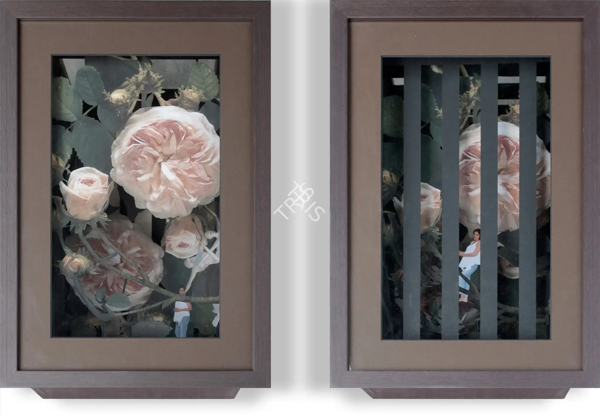 Upadhyay, Hema (Artist). I Live In A Match Box. Mixed media installation, 2008 | Installation | FineArts | 00645050