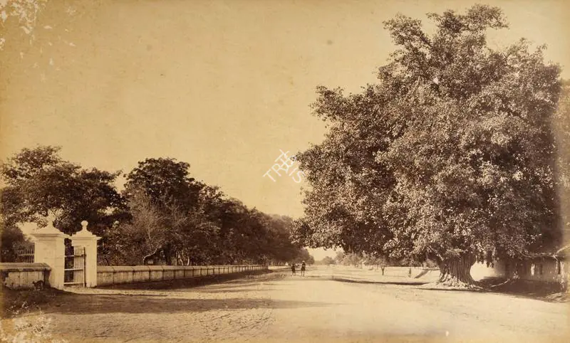 Bourne, Samuel (Photographer). View in Umballa, near the Simla Bank - From the album 'Views of Delhi and Umballa by Samuel Bourne'. Albumen print pasted on mount, 1864-1865 | Antiquarian Photograph | Photography | 00115220