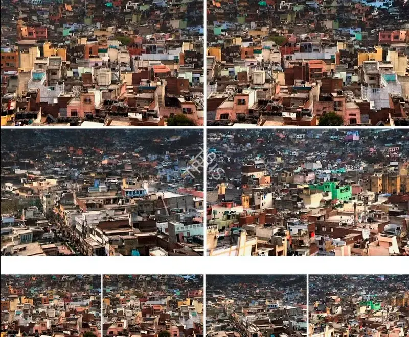 Scaria, Gigi (Artist). Pan(i)city, 2004-2006 | Installation