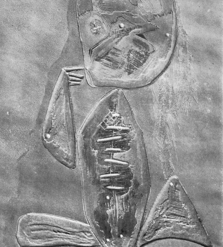 Hore, Somnath (Artist). The Child, 1967 | Graphic Art