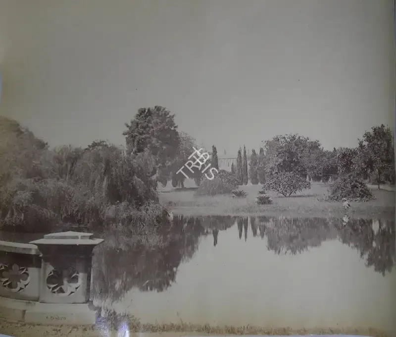 Studio V. & E. Pont (Photographic Studio). Kanpur Garden. Albumen print, n.d. | Antiquarian Photograph | Photography | 00115798