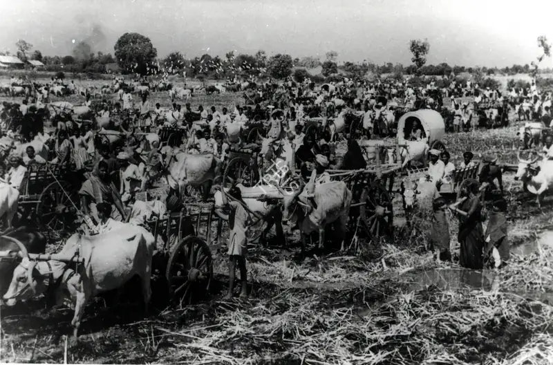 Irani, Faredoon A. (Cinematographer), Mother India, 1957 | Photographic Still | CinemaEducation | 00886407