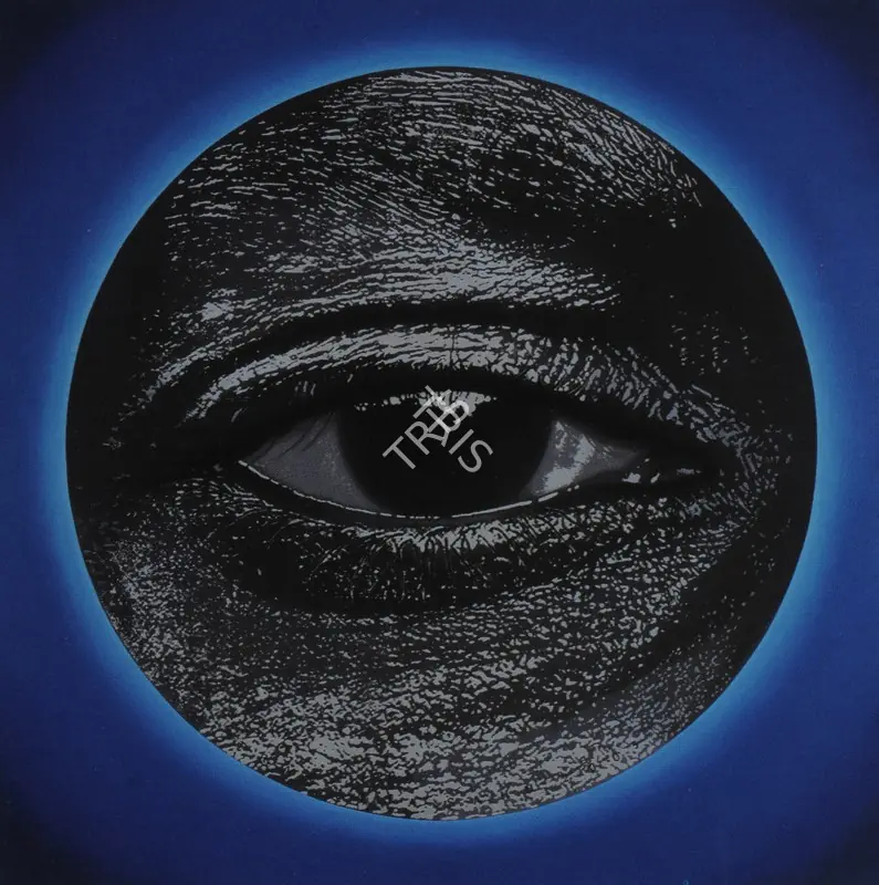 Sahu, Prasanta (Artist). Eyewitness. Acrylic on canvas, 2005 | Painting | FineArts | 00574781