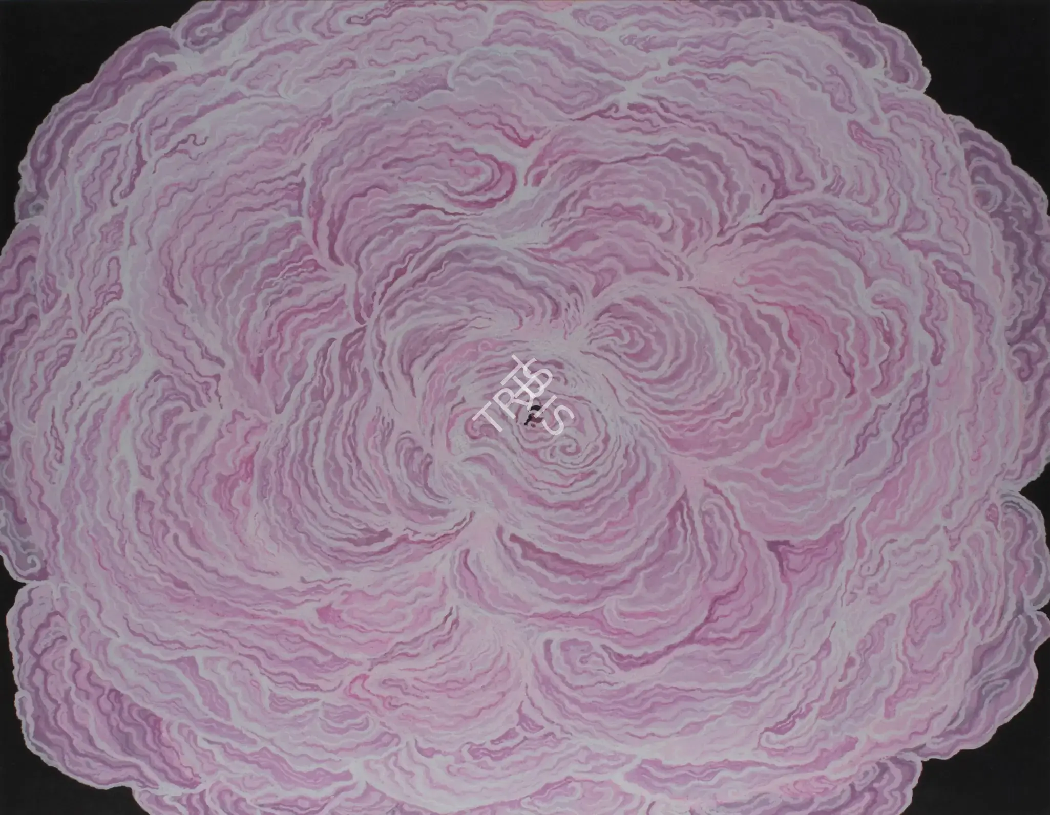 Damani, Minal (Artist). Untitled, n.d. | Painting