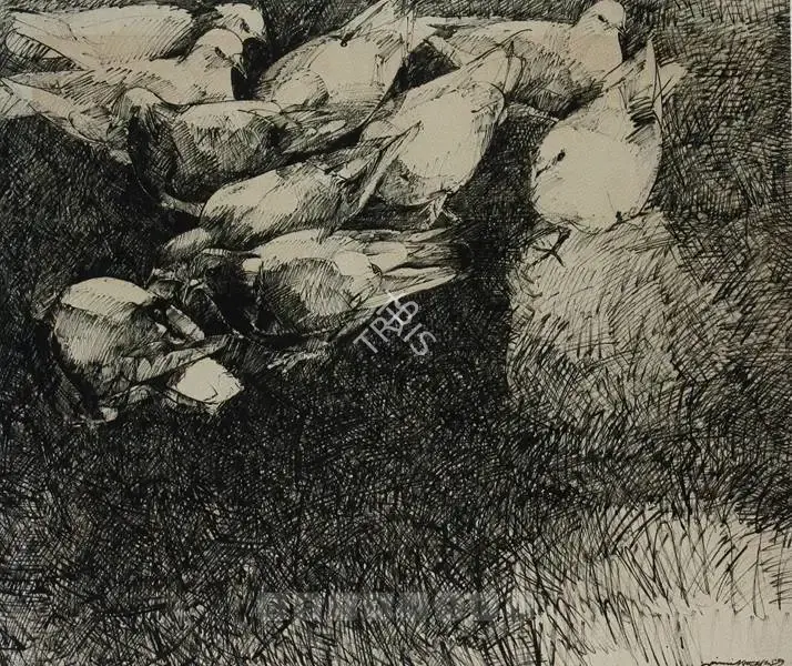 Naqsh, Jamil (Artist). Untitled (Pigeons). Ink on paper, 1989 | Drawing | FineArts | 00897671