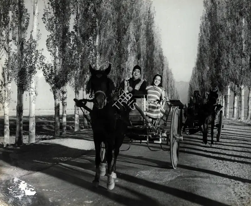 Kapadia, K.H. (Cinematographer), Yeh Rastey Hain Pyar Ke, 1963 | Photographic Still | CinemaEducation | 00888420