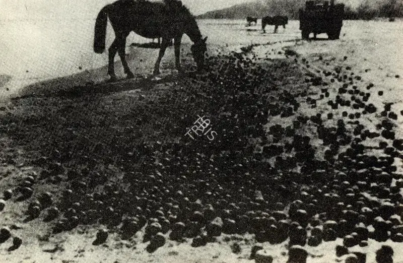 Yusov, Vadim (Cinematographer), Dream sequence in Ivan's Childhood | Photographic Still, Journal of Arts & Ideas, January-June 1987 | CinemaEducation | 00710293