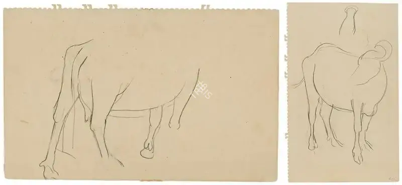 Sher-Gil, Amrita (Artist). A Double-sided Animal Study, n.d. | Drawing
